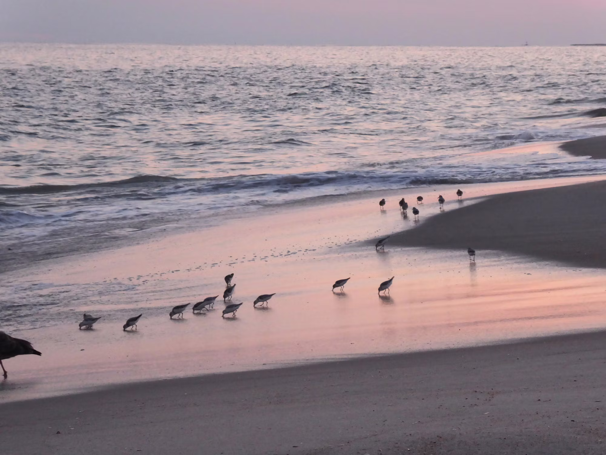 世界の海の隠れた宝石: 忘れられない旅行体験